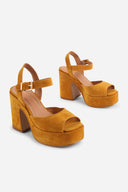 BUTTERSCOTCH