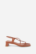 TAN