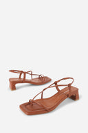 TAN