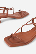 TAN