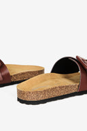 CHESTNUT