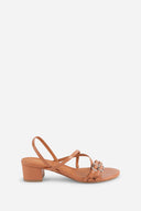 TERRACOTTA