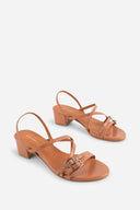 TERRACOTTA