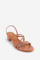 TERRACOTTA