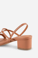 TERRACOTTA