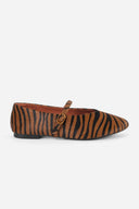 TAN ZEBRA