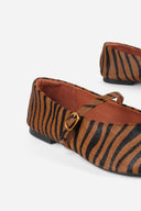 TAN ZEBRA