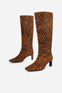 TAN ZEBRA
