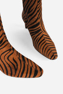 TAN ZEBRA