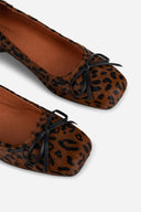 BROWN CHEETAH