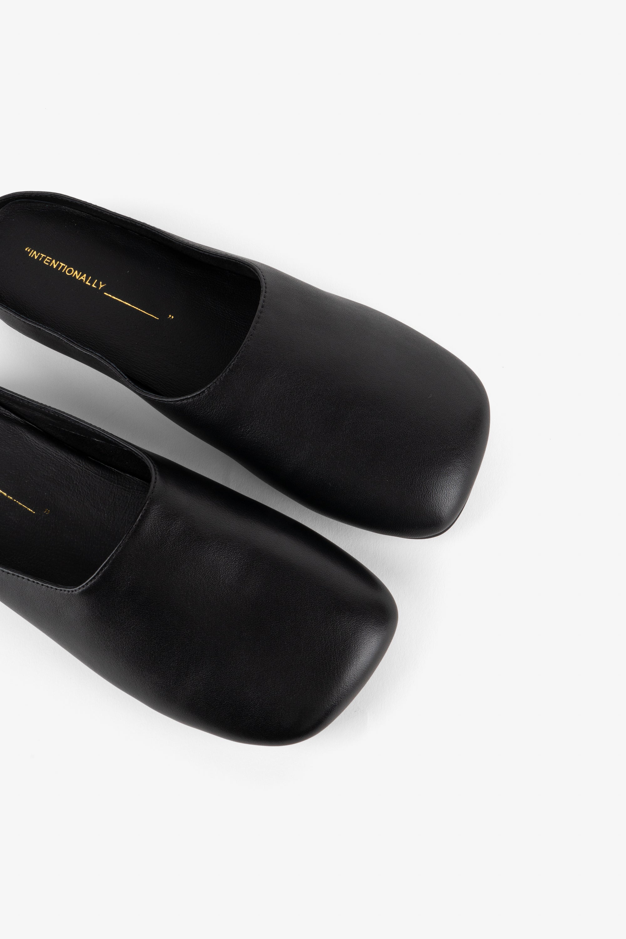 SYNC MULE – Intentionally Blank