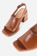 TAN