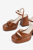 TAN